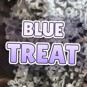 Blue Treat Cannabis Strain