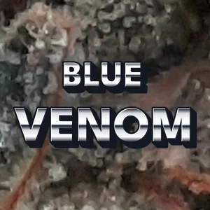 Blue Venom Cannabis Strain