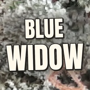Blue Widow Cannabis Strain