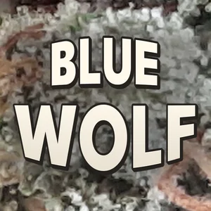 Blue Wolf Cannabis Strain