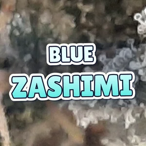 Blue Zashimi Cannabis Strain