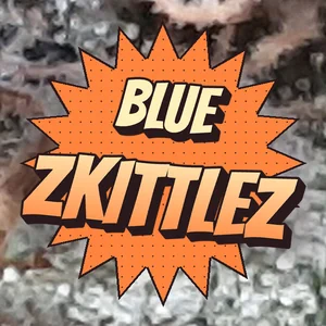 Blue Zkittlez Cannabis Strain
