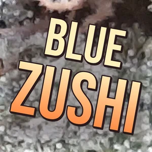 Blue Zushi Cannabis Strain