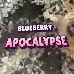 Blueberry Apocalypse Cannabis Strain