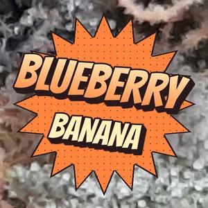 Blueberry Banana Cannabis Strain