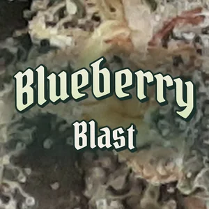 Blueberry Blast Cannabis Strain