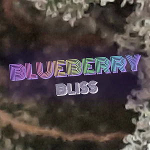 Blueberry Bliss Cannabis Strain