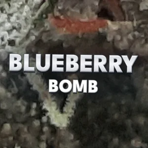 Blueberry Bomb Cannabis Strain