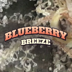 Blueberry Breeze Cannabis Strain