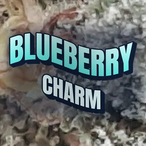 Blueberry Charm Cannabis Strain
