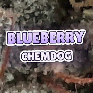 Blueberry Chemdog Cannabis Strain
