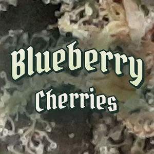 Blueberry Cherries Cannabis Strain