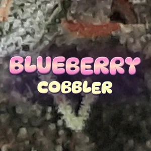 Blueberry Cobbler Cannabis Strain