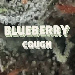 Blueberry Cough Cannabis Strain