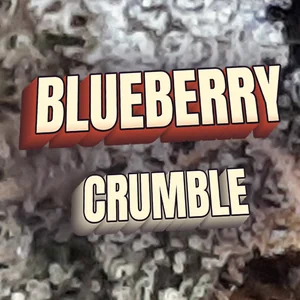 Blueberry Crumble Cannabis Strain