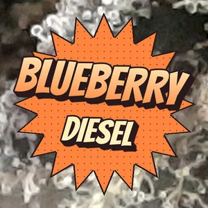 Blueberry Diesel Cannabis Strain