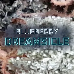 Blueberry Dreamsicle Cannabis Strain