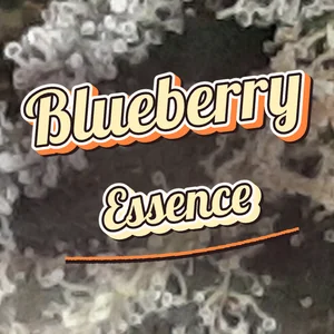 Blueberry Essence Cannabis Strain