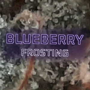 Blueberry Frosting Cannabis Strain