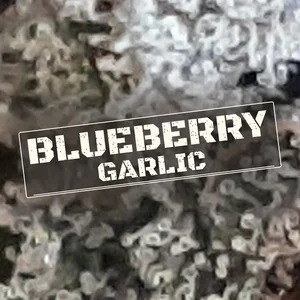 Blueberry Garlic Cannabis Strain