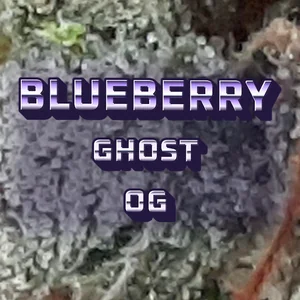 Blueberry Ghost OG Cannabis Strain