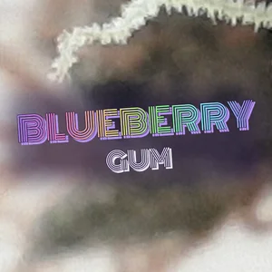 Blueberry Gum Cannabis Strain