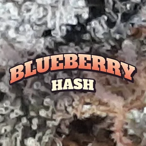 Blueberry Hash Cannabis Strain
