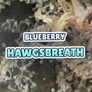 Blueberry Hawgsbreath Cannabis Strain