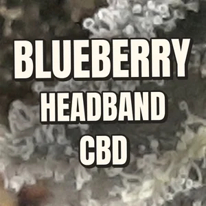 Blueberry Headband CBD Cannabis Strain