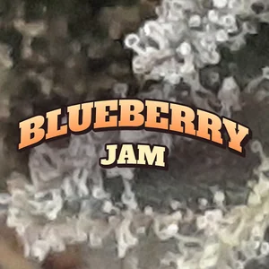 Blueberry Jam Cannabis Strain