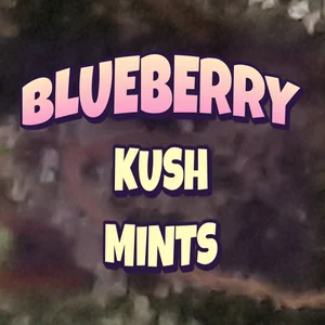 Blueberry Kush Mints Cannabis Strain