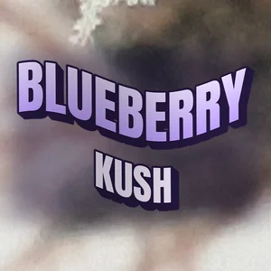 Blueberry Kush Cannabis Strain