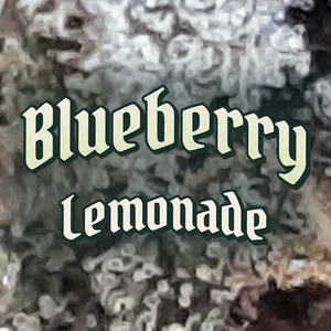 Blueberry Lemonade Cannabis Strain