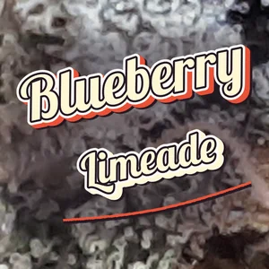 Blueberry Limeade Cannabis Strain