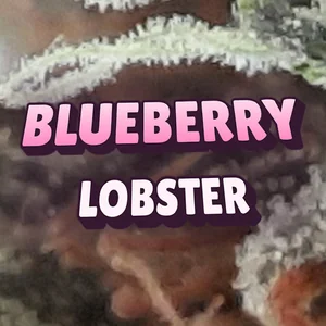 Blueberry Lobster Cannabis Strain