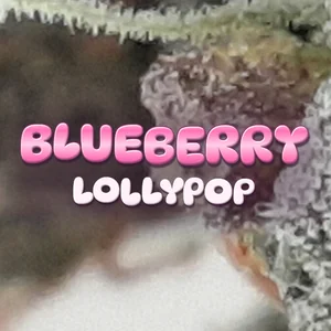 Blueberry Lollypop Cannabis Strain