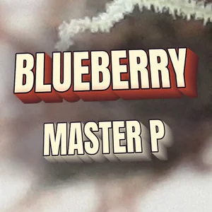 Blueberry Master P Cannabis Strain
