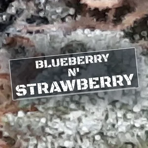 Blueberry N' Strawberry Cannabis Strain