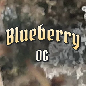 Blueberry OG Cannabis Strain