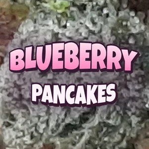 Blueberry Pancakes Cannabis Strain