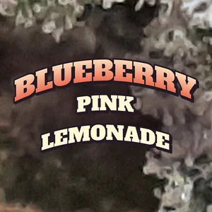 Blueberry Pink Lemonade Cannabis Strain