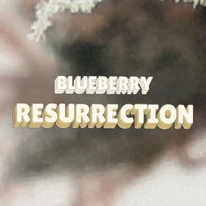 Blueberry Resurrection Cannabis Strain