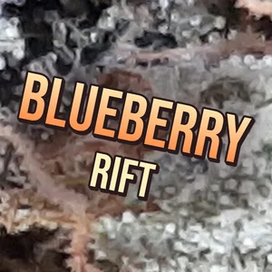 Blueberry Rift Cannabis Strain