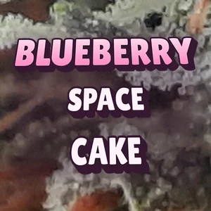 Blueberry Space Cake Cannabis Strain