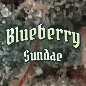 Blueberry Sundae Cannabis Strain