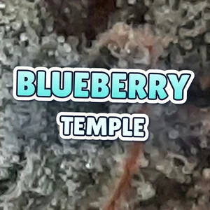 Blueberry Temple Cannabis Strain