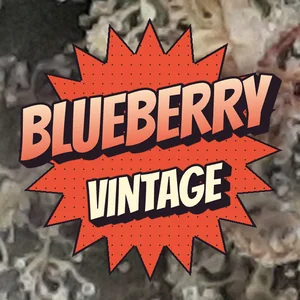 Blueberry Vintage Cannabis Strain