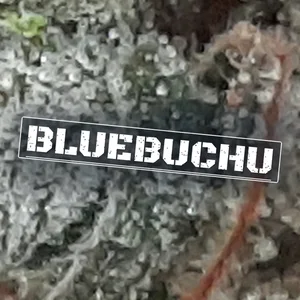 BlueBuChu Cannabis Strain