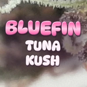 Bluefin Tuna Kush Cannabis Strain