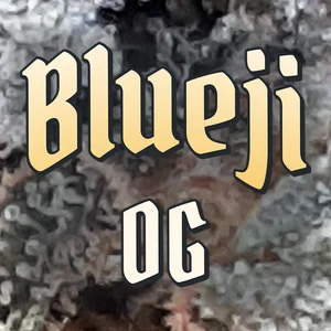 Blueji OG Cannabis Strain